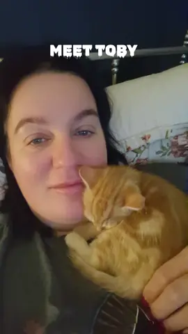 #pets #PetsOfTikTok #catsoftiktok #loveyou #therapytiktok #theraputic #animalsoftiktok 