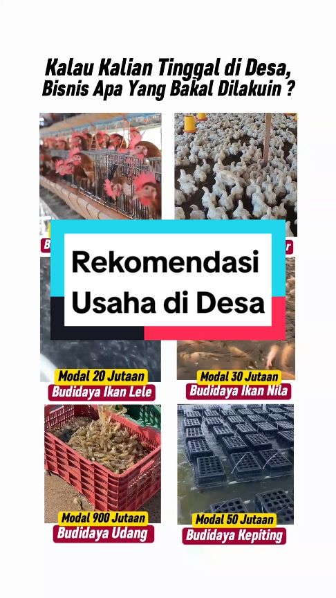 .. .. Memasuki era Revolusi Industri 4.0, setiap negara mulai berlomba-lomba untuk memajukan negara dan bangsanya dalam berbagai bidang agar dapat menghadapi tantangan global, termasuk dalam bidang peternakan dan perikanan. Kemajuan teknologi juga dapat dirasakan dengan adanya suatu sistem dimana peternak dapat mengendalikan suatu sistem manajemen peternakan dengan memanfaatkan  program terpandu, salah satunya adalah teknologi yang berbasis Internet Of Things (IoT). Dengan memadukan teknologi Internet of Things di Budidaya Perikanan diharapkan dapat membantu dalam pengefektifan dan efisiensi para peternak dalam melihat dan mengecek ternaknya agar menghasilkan keuntungan yang maksimal. .. Follow dan ikuti terus kita agar mendapatkan informasi aktual seputar budidaya peternakan dan perikanan modern berbasis Teknologi. Jangan lupa Bagikan ke teman & keluarga sobat ya !! .. .. .. #peternakan #pertanian #perikanan #budidaya #peternakanmodern #entrepreuner #sukses #fishery #peternakindonesia #budidayaikan #farm #ayambroiler  #ayampetelur #pengusaha #peternakanayam #peternakmuda #aquaculture #bioflok #reels #fyp 