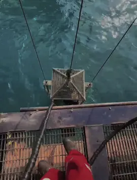 Dasar laut dingin🥶#pheoses🇮🇩 #comercial #offshorelife #offshore #penyelamindonesia🇮🇩 #offshoreindonesia #comercialdiving 