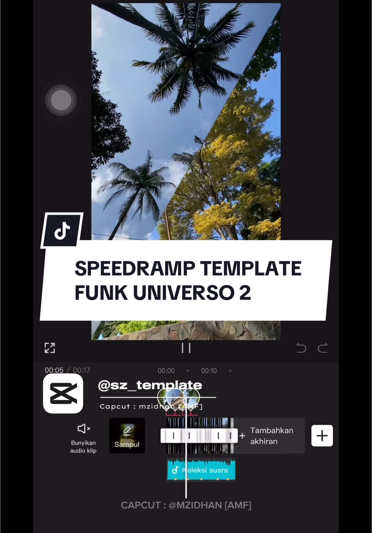 New Template | #sz_template  #CapCut #speedramp #velocity #trendingvideo #templatecapcut #fyp 