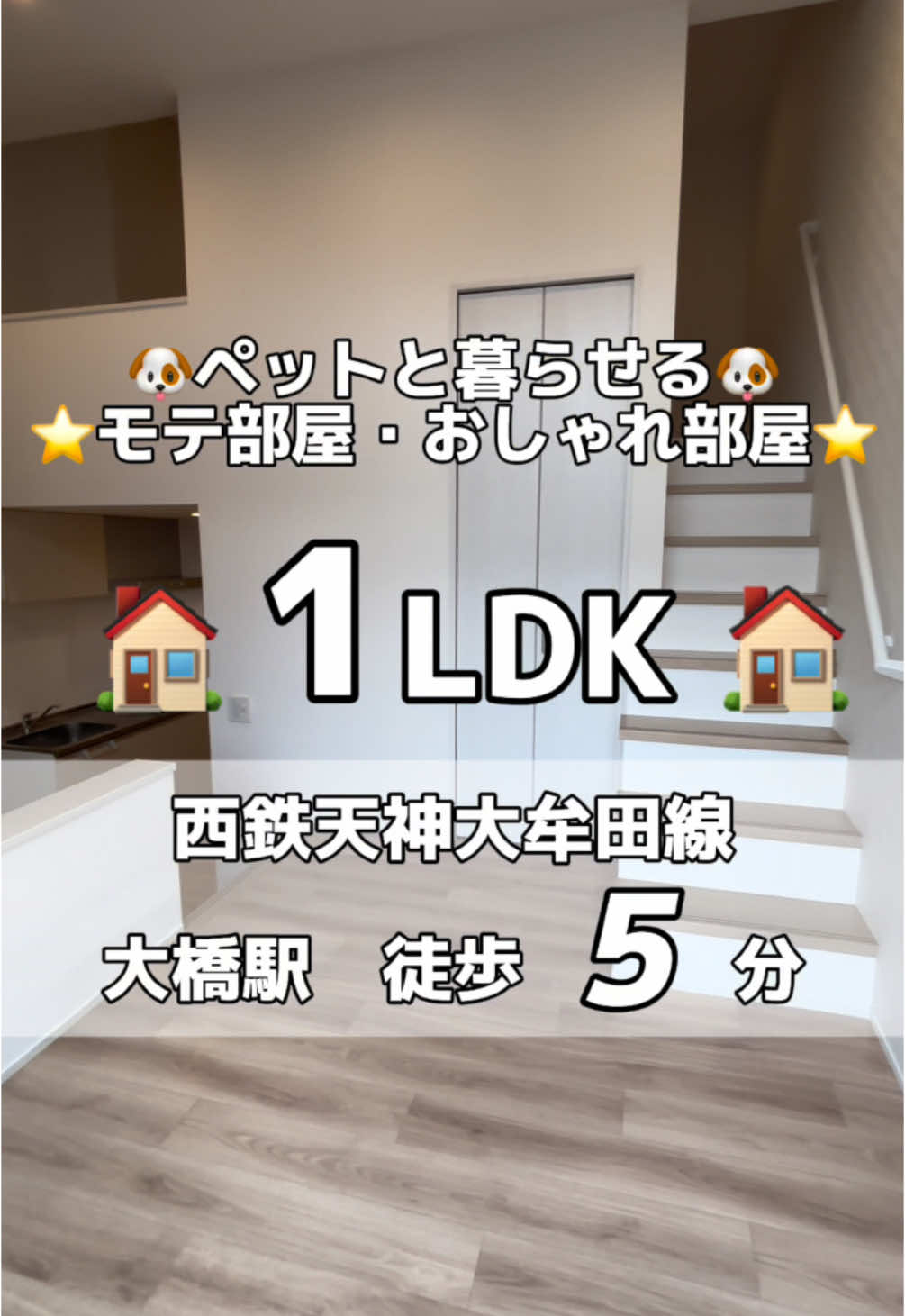 モテ部屋・おしゃれ部屋✨ ペット可デザイナーズアパートです🙇 #なんたく不動産  #福岡部屋探し  #福岡賃貸 