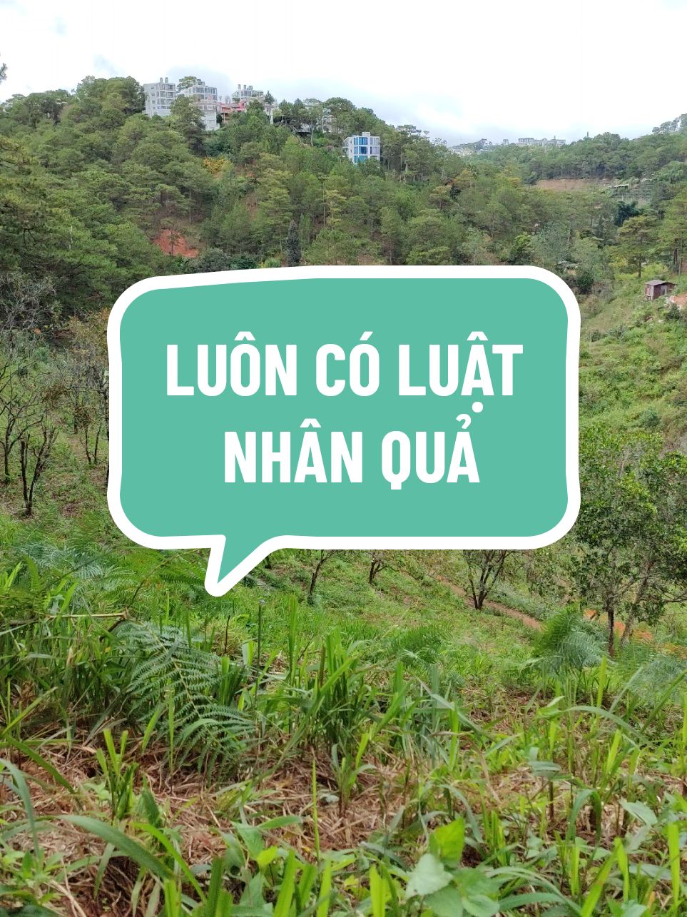 LUÔN CÓ LUẬT NHÂN QUẢ #PREMIUMClubVN