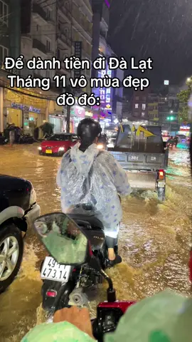 Đà Lạt vào tháng 11 đồ nè🥲🥲 #xh #dulich #DaLat 