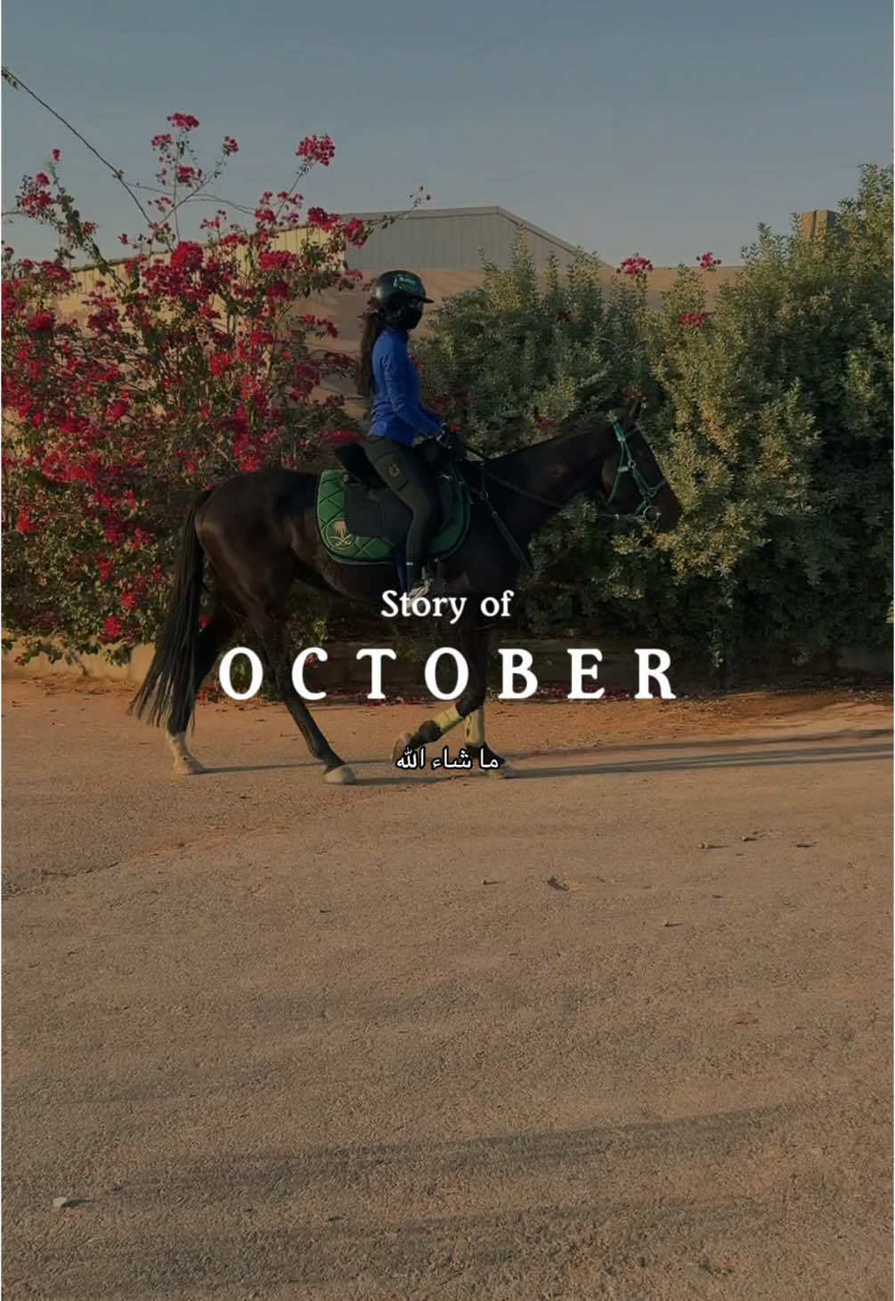 My October ♥️ #ماشاءالله #خيل_وخياله🐎 #انجازات #horseriding #october #الخيل_من_خيالها #فروسية #CapCut #horsegirl 