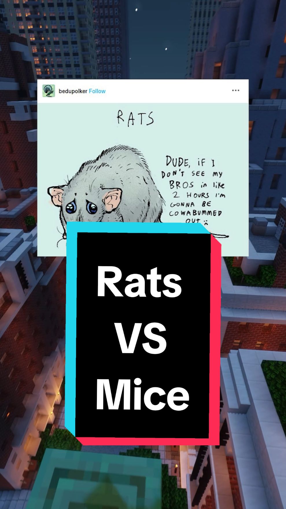 The difference between rats and mice. #qna #storytime #funny #tumblr #animals #rat 