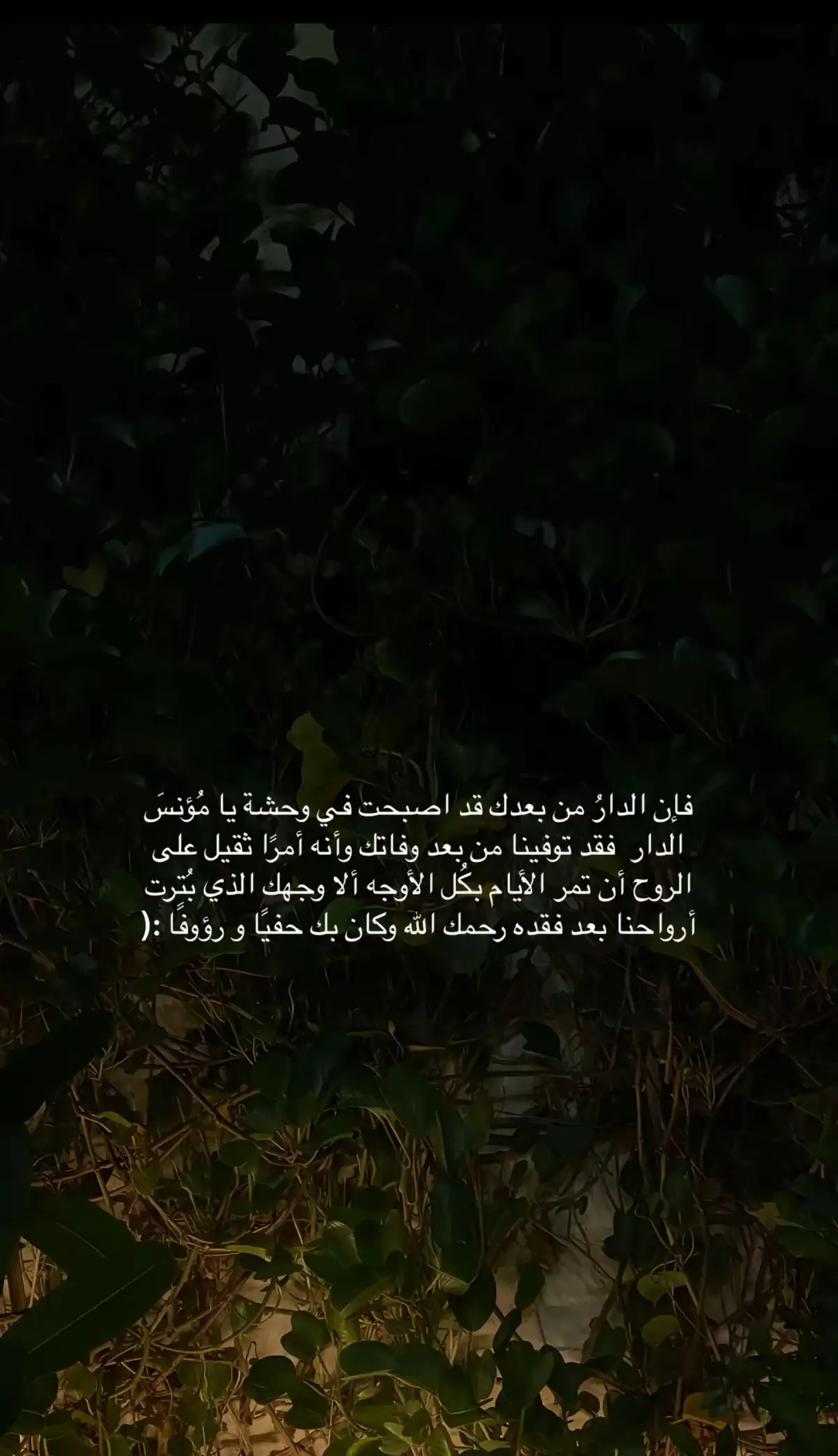 #رحم #الله #فقيدة_قلبي #اختي #😭😭😭😭😭💔💔💔💔 