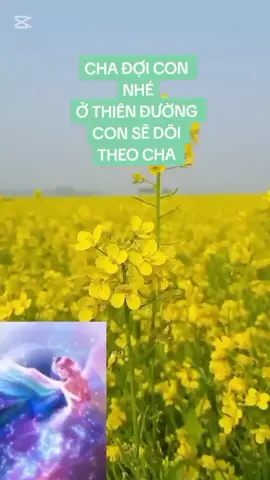 lá thư số 15 trên 1111 lá thư tay  #buon_tam_trang #apluccuocsong #xuhuong #giadinh #xuhuongtiktok #tamtrang #THIÊN_AN_RADIO #1111láthưtay 