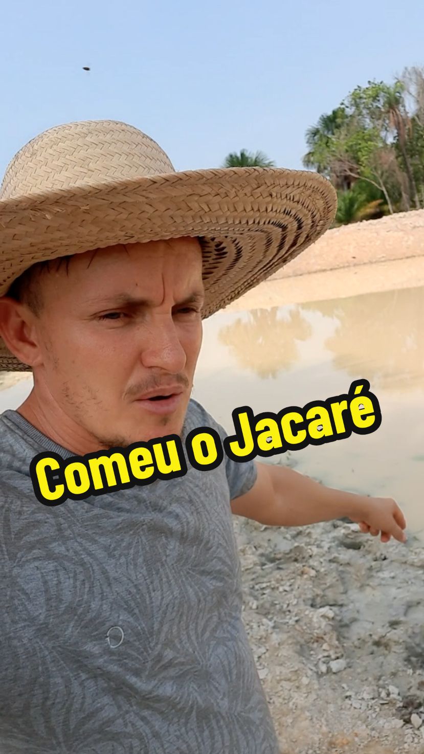 Sucuri comeu o Jacaré  #sucuri  #Jacaré  #medo  #vidanaroça  #animal  #predador  #suspense 