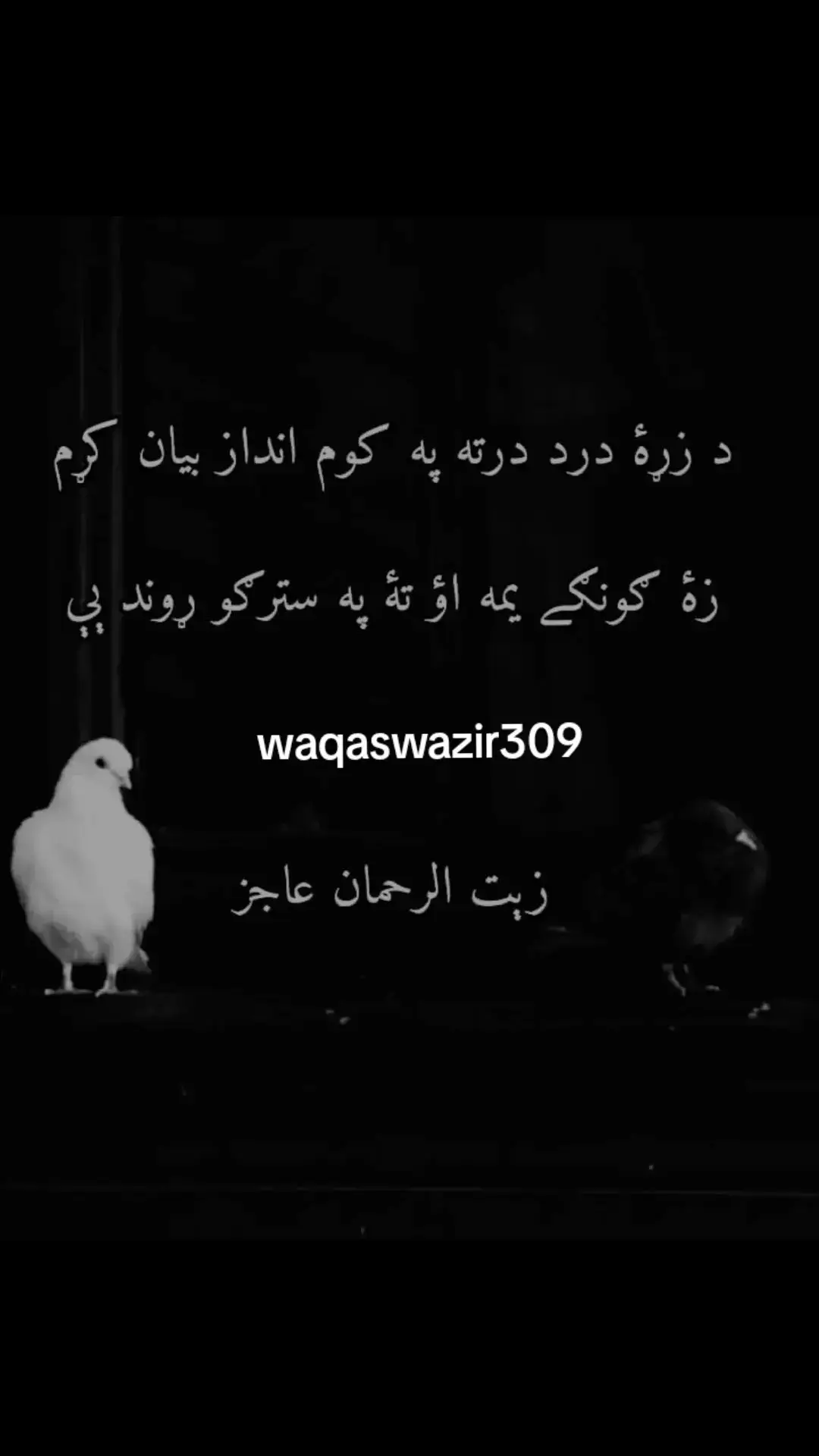 #pashtotappy #blackdance #blackvideo #pashtoshayari #pashtotapy #yousafwrites888 #pashtomusic #pashtodance #pashtotiktok #blacksong #pashtoghazal #afghanistan #fyp #pashtosongs #trending #foryoupage #viral #viraltiktok #viralvideo #kpkpakistan 