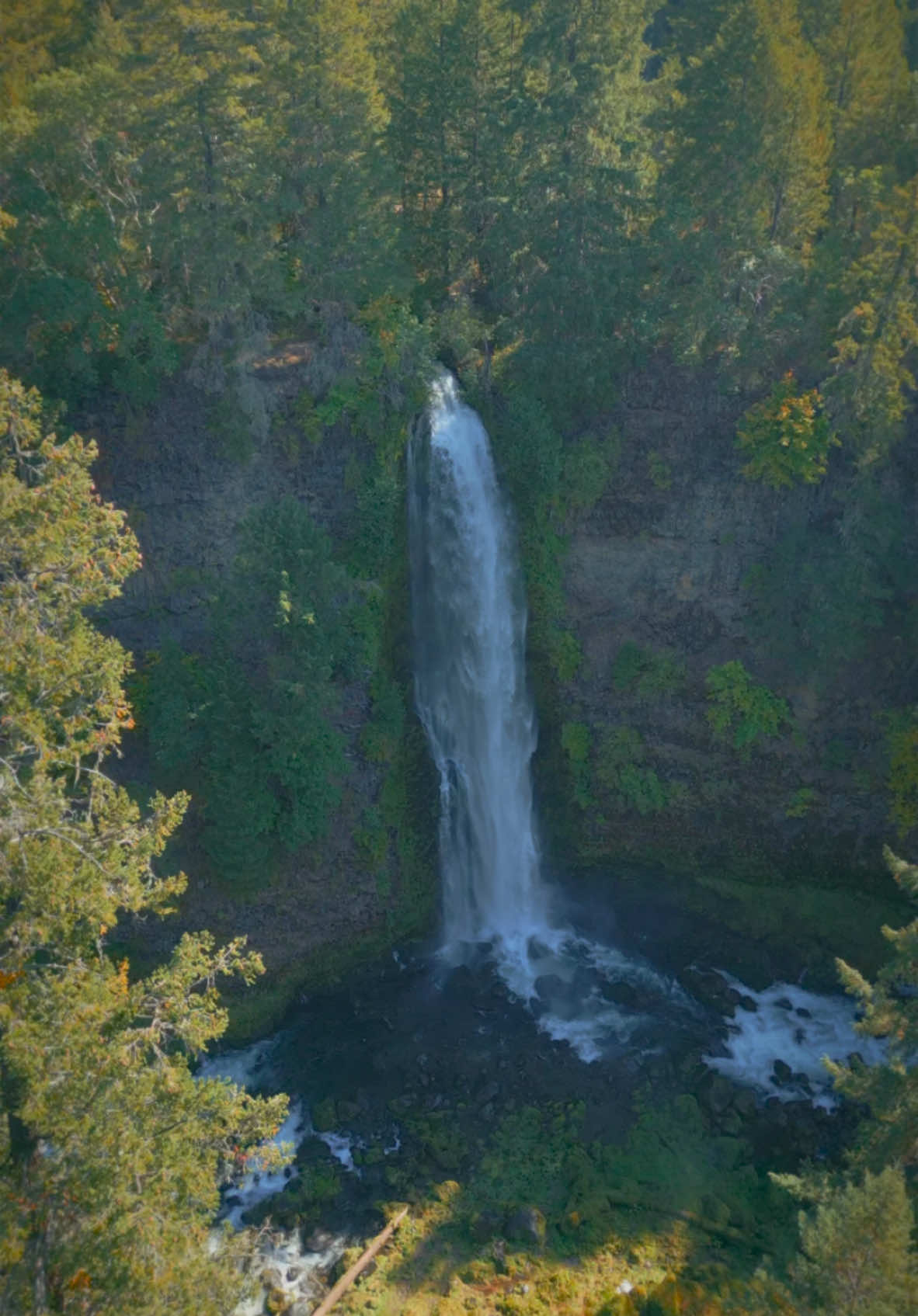 Soaring out from behind the treetops to reveal a majestic waterfall cascading through the forest—nature’s power and beauty on full display 😍 #nature #Outdoors #cinematic #calm #waterfall 