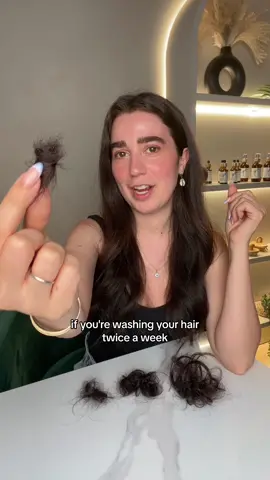 Going over different ways to help with your hairloss 🌿 let me know if you have any questions! Our bundle is tagged on the tiktok shop 🙏🏻 . . . . #tiktokshopbacktoschool #hairloss #hairgrowth #hairoiling #hairshedding #rosemary #fyp #haircare #scalpoiling #rosemaryoil #rosemarywater 