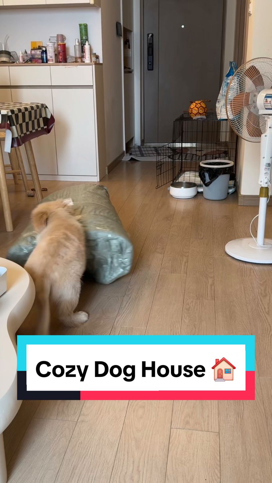 Cozy Dog House 🏠  #warmhouse #doghouse #dogproducts 