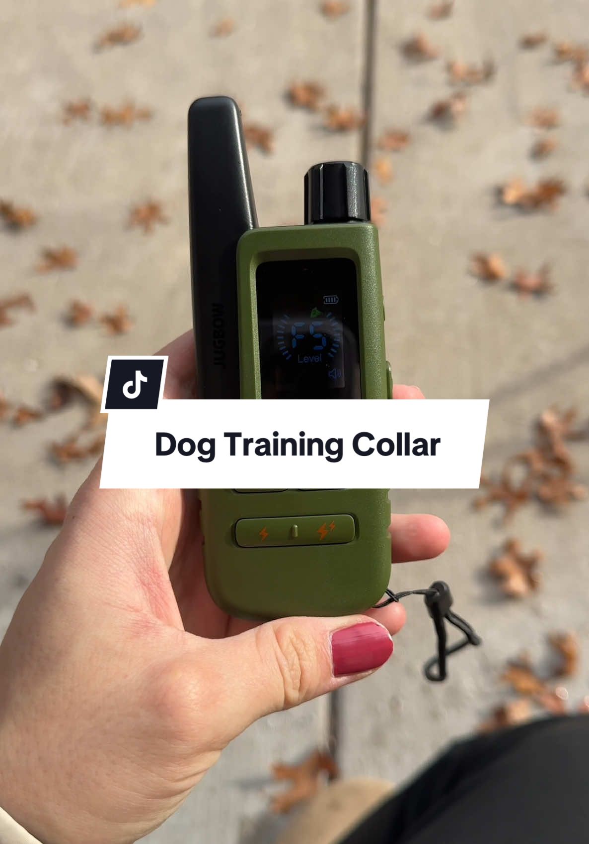 An affordable training dog collar is hard to come by and this one works great for all training levels! #dogcollar #DogTraining #dogtraininghack #jugbow #TTSLevelUp #dogmusthaves 