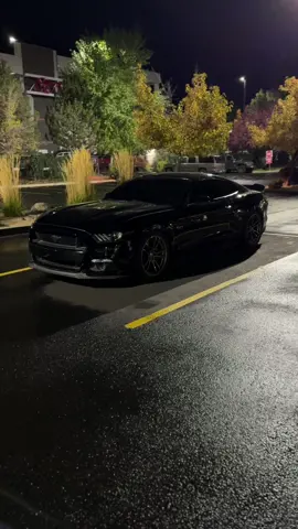 The 2015 Mustang GT marked a significant redesign and brought Ford’s iconic muscle car into a new era with a modern twist on its classic look. Equipped with a 5.0-liter V8 engine that delivers 435 horsepower and 400 lb-ft of torque, this model offered an exhilarating driving experience. The 2015 GT was also the first Mustang to feature an independent rear suspension, improving handling and comfort over previous solid-axle designs. In terms of styling, it had an aggressive, aerodynamic body with a sleek, fastback silhouette and signature tri-bar LED taillights. Inside, it offered a refined, driver-focused cabin with updated technology, including options for a large touchscreen and advanced driver aids. The 2015 Mustang GT balanced power and sophistication, appealing to enthusiasts and newcomers alike. #mustang #mustanggt #cartok #fyp 