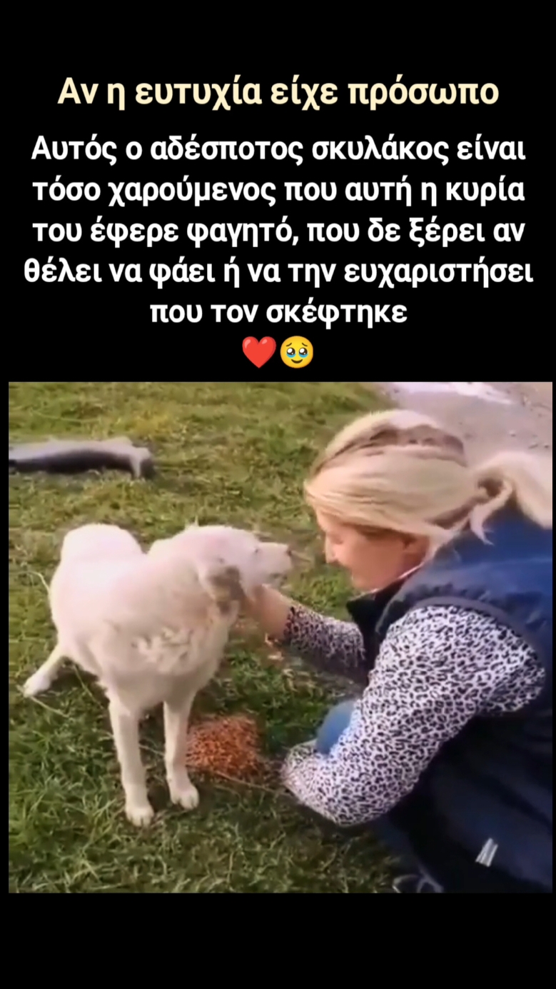 Υπέροχη στιγμή.. Υπέροχα πλάσματα ❤️ #dog #rescue #fyp 