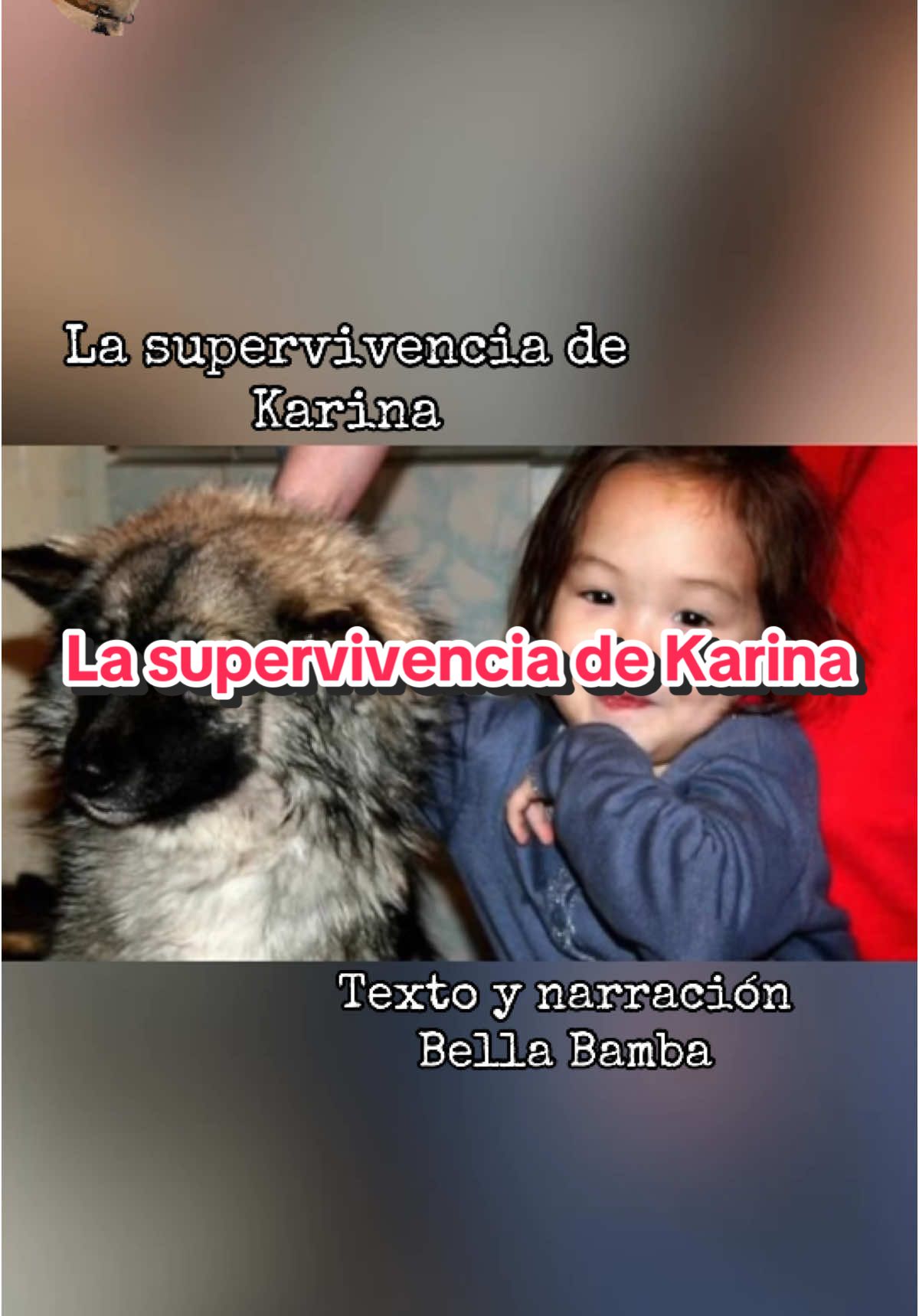 La supervivencia de Karina #historiasdeanimales #bellabamba #historiasdeperros #perro 