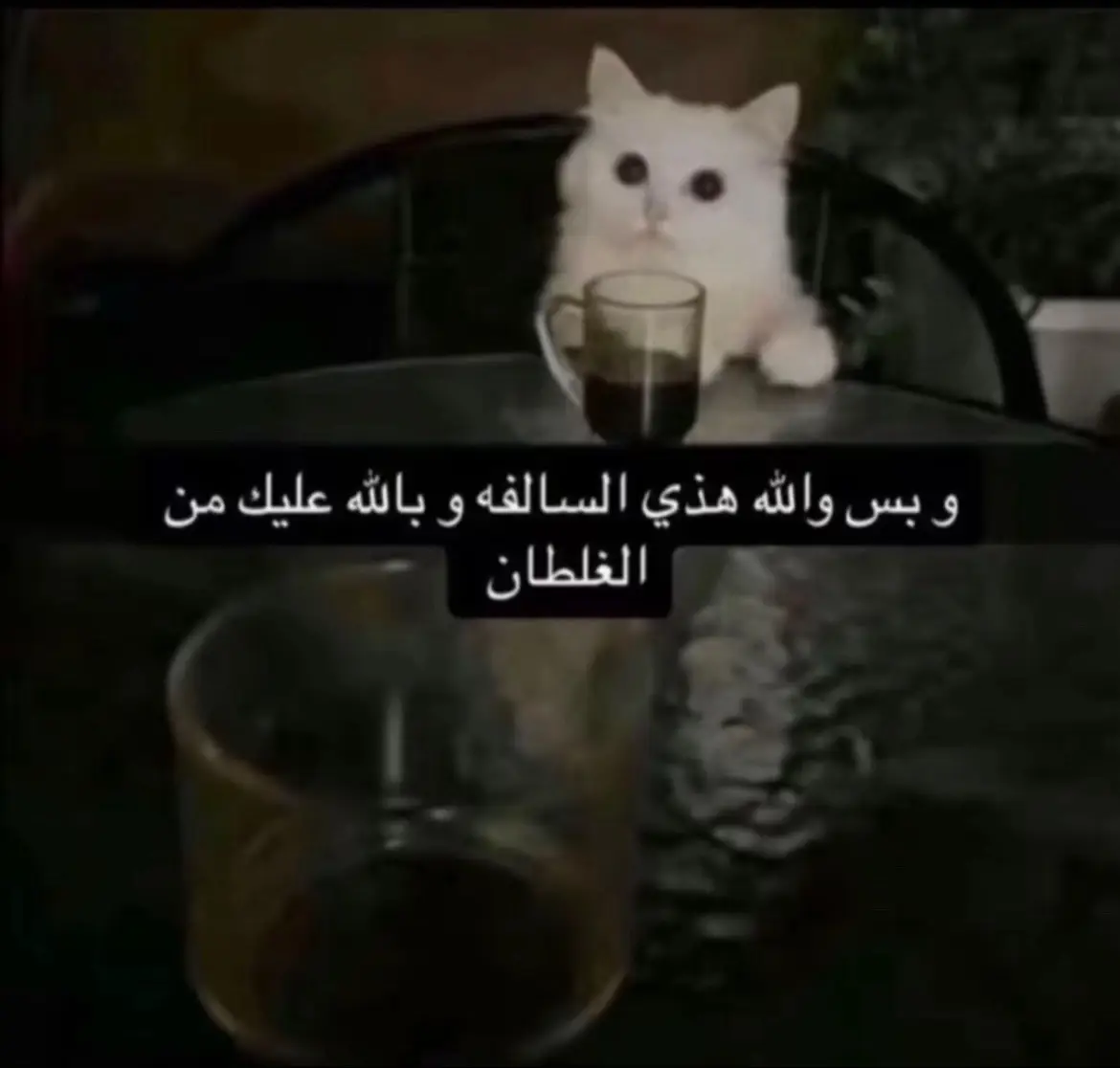 #fypシ゚viral #tik_tok #ترند #trend #capcut #4u #عشوائيات #winter #كشتة