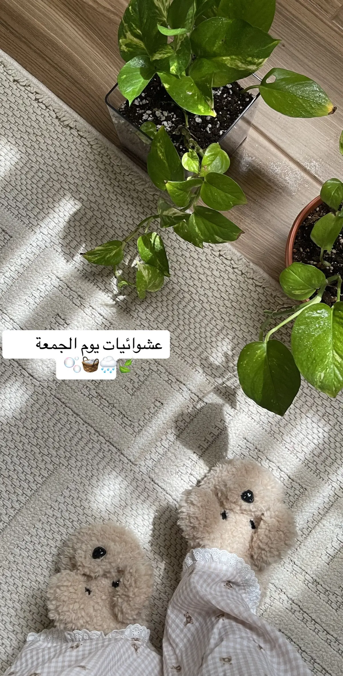 #يوم_الجمعة☘️ 