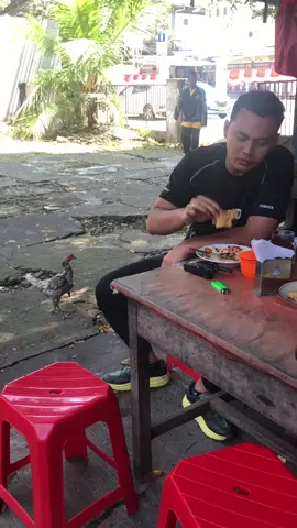 REJEKINYA DI PATOK AYAM #ASEM #KAPOK 