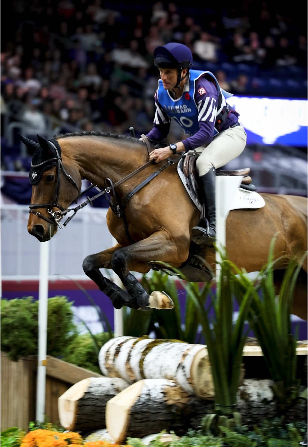 Catarina took 🥈 in tonight’s arena eventing at the @Royal Agricultural Winter Fair! Looking forward to taking a spin around tomorrow night’s course 💪