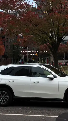 portland in the fall >>> #fallaesthetic #teatime #teatok #fypシ #minivlog #fallvibes #portlandoregon 