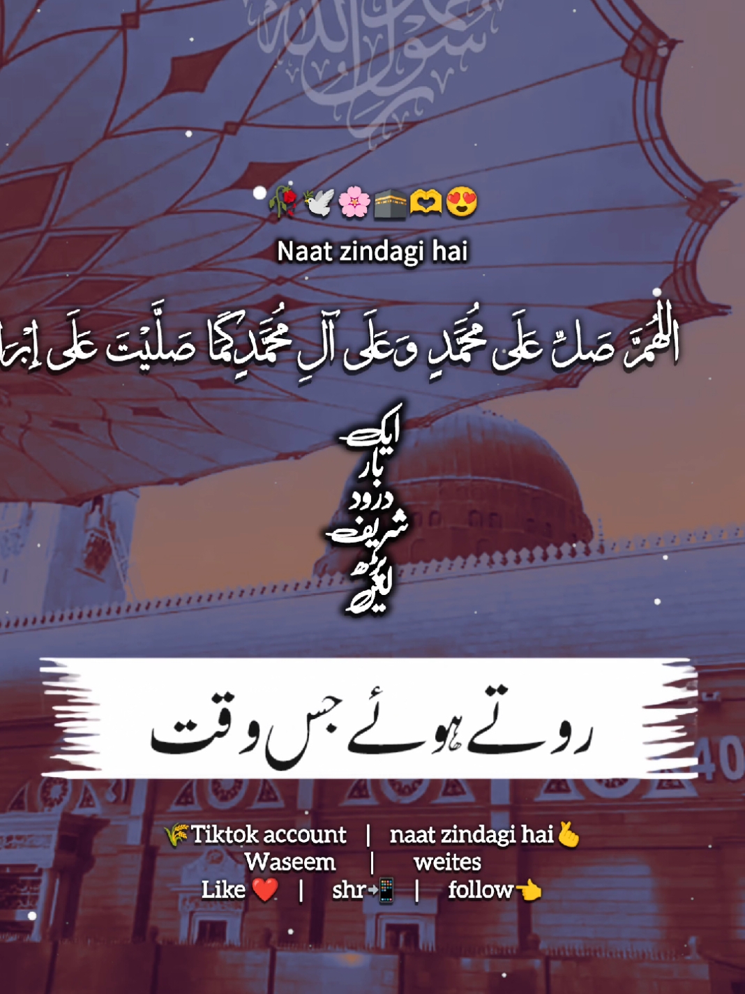 اس وقت مجھے جلوہ محبوب دکھا دے#naat_zindagi_hai #islamic_video024 #naatsharif #نعت_رسول_اللہ_صلی_اللہ_علیہ_وسلم #وسیم_ڑائیس #madinasharif #islamic_video #naatzindagihai 