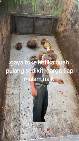 #sanlettt🤣🤣🤣 