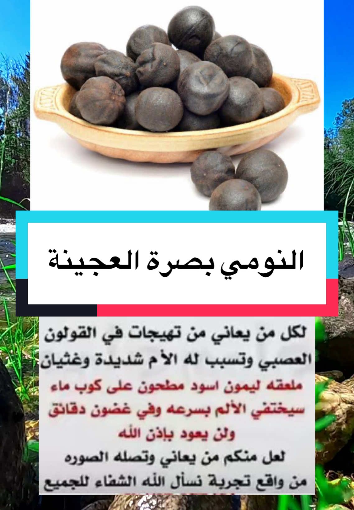 النومي بصرة #معلومات_مفيده #معلومات_طبية #فوائد #طبيب_تيك_توك #اعشاب_طبيعيه_فوائد #طبيب_اعشاب #علاج_بالاعشاب #مملكة_الثقافة👑 #نصائح #اكسبلور #foruyou #viralllllll #for #fyp 