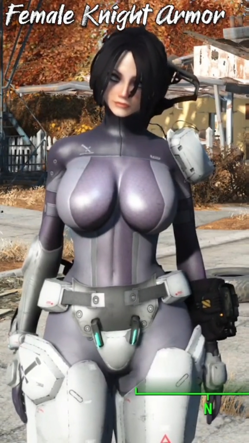 #onthisday female knight armor #fyp #fallout4 #fallout #gaming #falloutmods #modding #dmrmods 