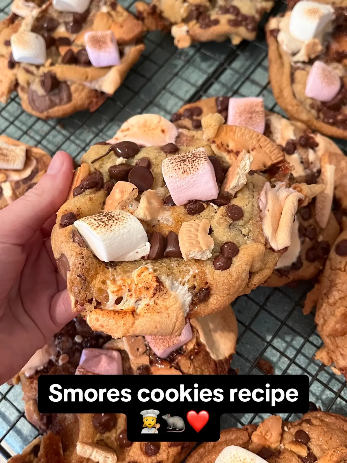 #bigback #bigbacks #baking #bakingtherapy #bakingbecausemurderisbad #baker #bakersoftiktok #didyoueattoday?🥺 #recipeideas #letsbaketogether #Recipe #bigbackactivities #cookie #cookierecipe #bakerytiktok #bakerytiktok #daddieshome #smorescookierecipe #smorescheck #smorescookies #smores 