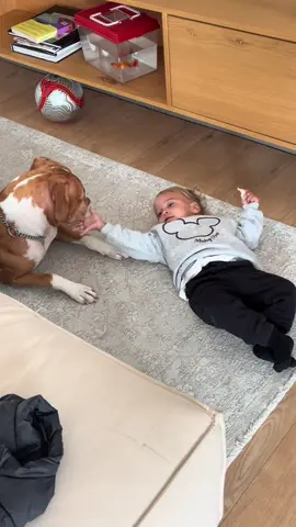 ביס נאלה ביס סהר😍 אין עוד אהבה כזאת  #סהרבןלולו