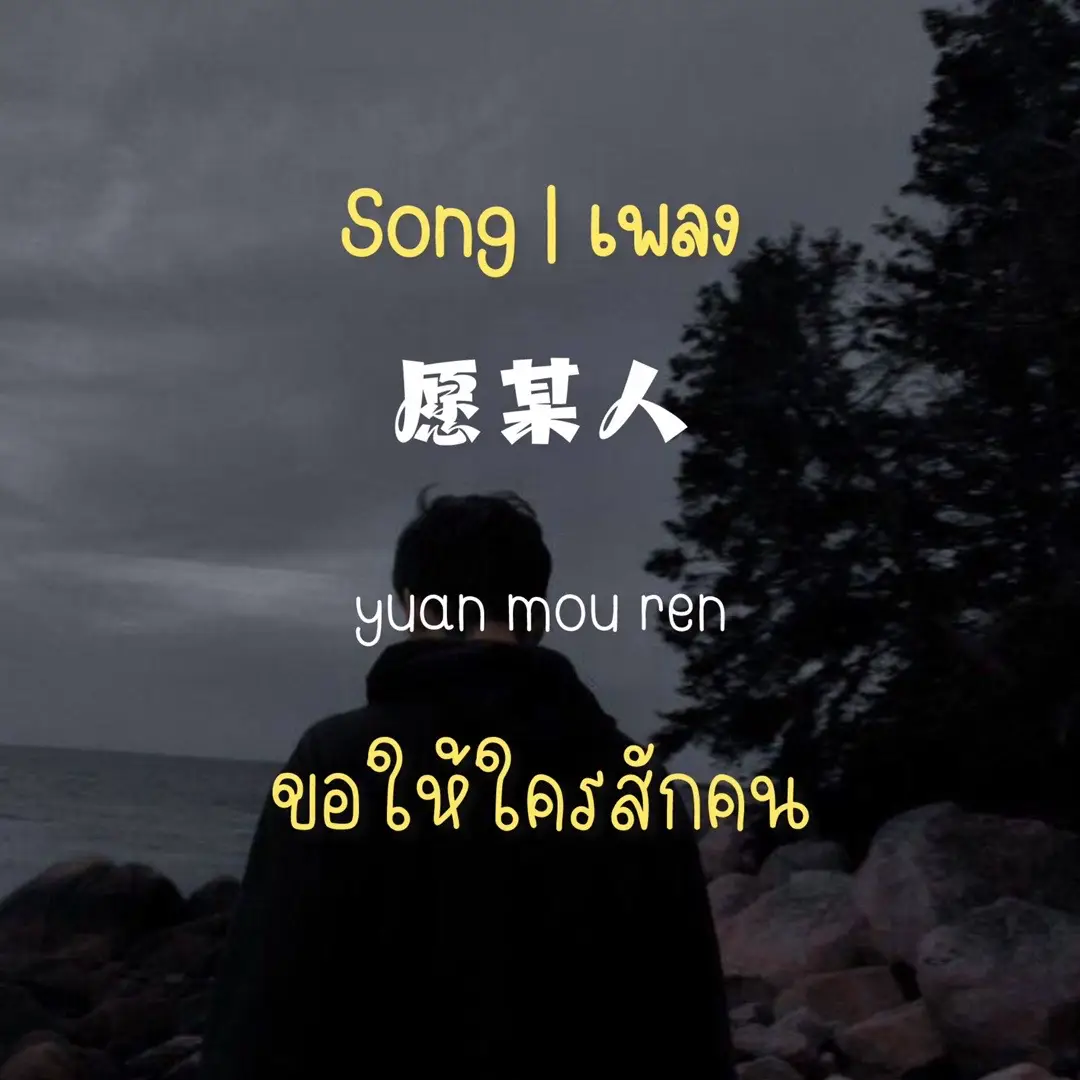 ขอให้ใครสักคน。。。。。。#愿某人 #เพลงจีนแปลไทย #chinasong520 #เพลงจีนฮิตในtiktok #เพลงจีนฮิตในtiktok #คําอ่านไทย #แปลเพลงจีน 