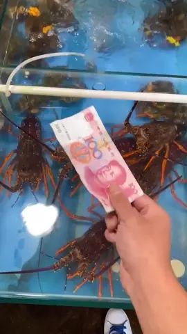 Best funny videos #funnyvideo #bestfunny #funnytiktok #mukbangeatingshow #chinese #chinesefood #lobster #seafood 
