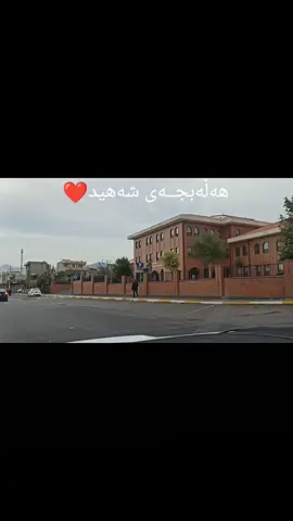 #هەڵبجەیشەهید #خورماڵ #هەورامان_خورمال_تەوێڵە #سلێمانی_هەولێر_کەرکوک_دهۆک #سەیدسادق #شارەزور #دەربەندیخان 