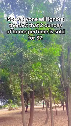 #Household perfume