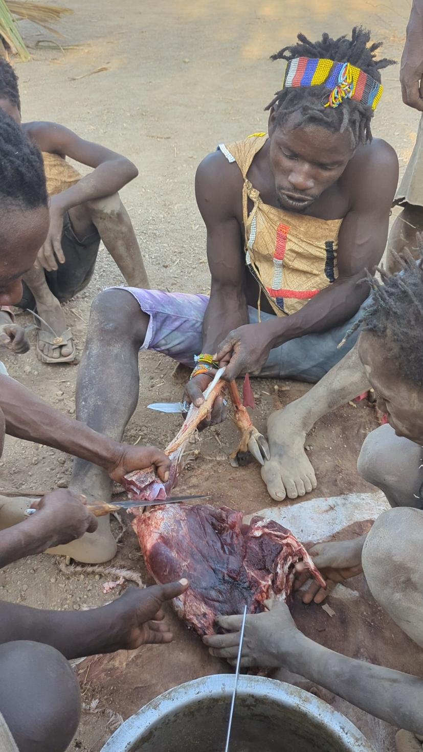 Hadzabe tribe Together eating lunchtime😋 Very Amazing tradition Lifestyle.#traditional #culture #bushmen 