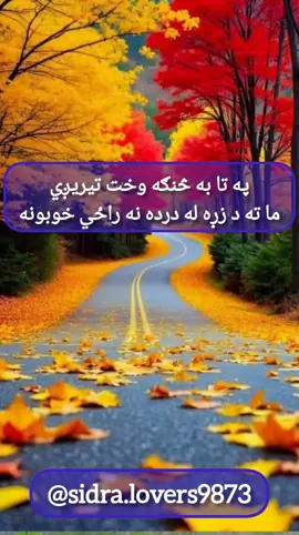 #usa🇺🇸 #usatiktok #foryoupageofficial #saportme #