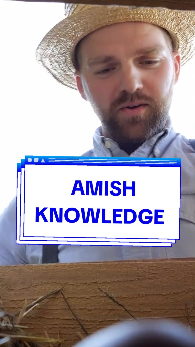 Inside The Amish Ways book you will uncover the survival skills and projects of independence that allowed The Amish to survive without electricity, running water, supermarkets, and other modern amenities.  #selfsufficiency #offgridlife #amishlife #amishtiktok 