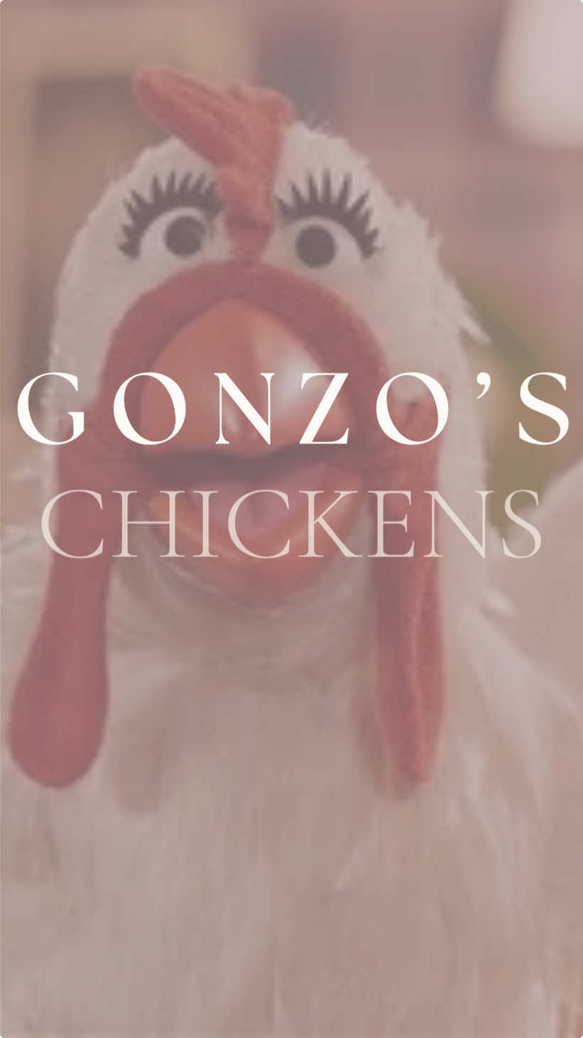 Did you catch Gonzo’s Chickens at runDisney? They were definitely a highlight!!  #fyp #foryou #rundisney #muppets #wineanddine #wineanddine2024 #rundisneywdw #rundisney2024 #gonzoschickens 