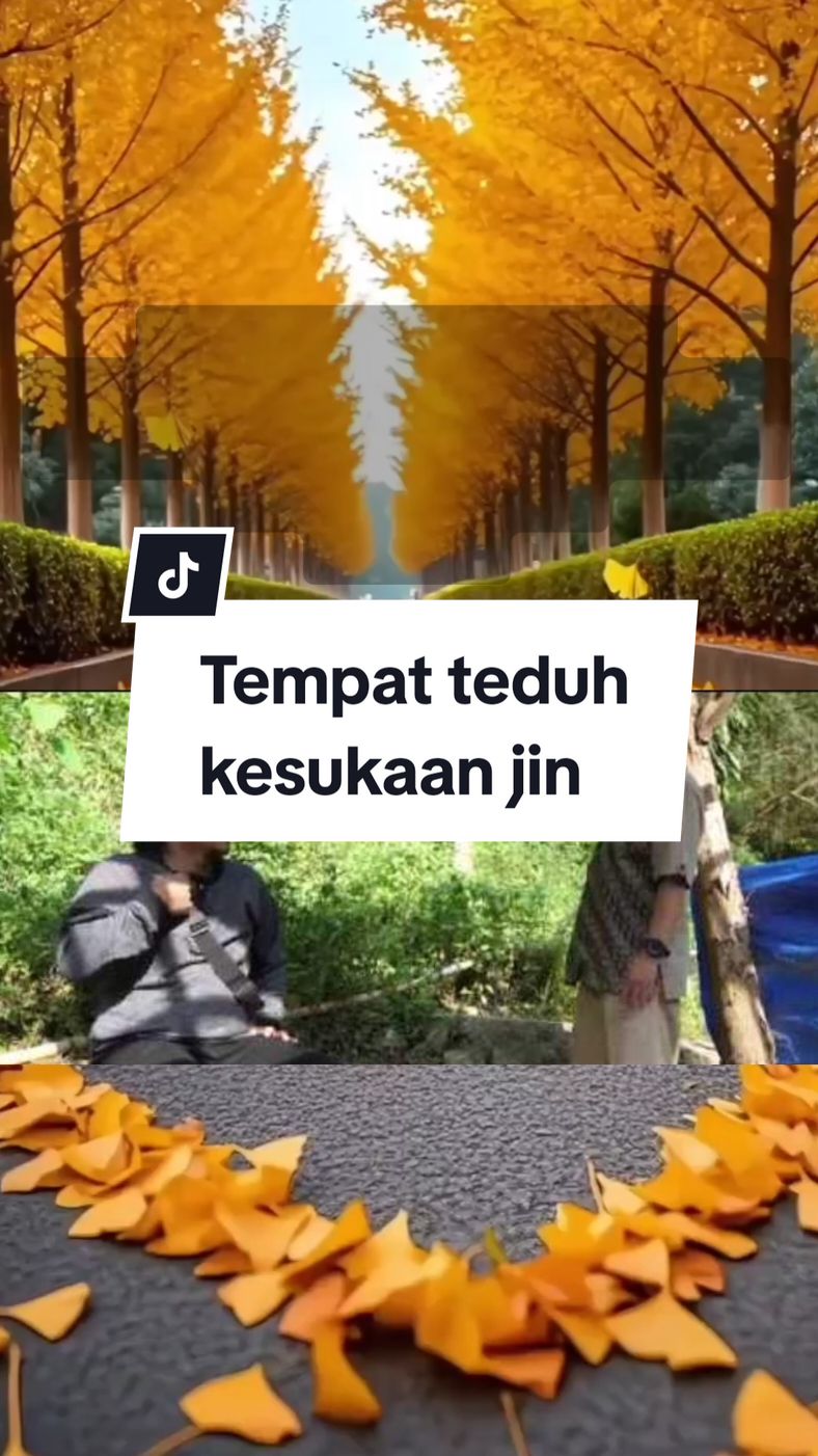 Seperti di dalam gambar, kita dilarang oleh Nabi ﷺ duduk dikawasan yang separuh teduh dan separuh terdedah dengan cahaya matahari kerana disitu tempat beradanya syaitan@jin. Hal tersebut bersandar kepada sebuah hadits dari Nabi ﷺ , أَنَّ النَّبِيَّ صَلَّى اللهُ عَلَيْهِ وَ سَلَّمَ نَهَى أَنْ يُجْلَسَ بَيْنَ الضِّحِّ وَ الظِّلِّ وَ قَالَ مَجْلِسُ الشَّيْطَانِ Ertinya: Rasulullah ﷺ melarang duduk di antara (tempat yang) terdedah dengan panas (yang tidak ada naungannya) dan (tempat yang) dingin (yang ada naungannya), dan baginda menjelaskan ﷺ, (Itu adalah) tempat duduknya syaitan,” (HR. Ahmad) Tidak mustahil ia merupakan antara asbab seseorang itu boleh terkena gangguan jin. Justeru dengan menghindari duduk dikawasan yang separuh panas dan separuh redup itu, hakikatnya kita telah mengamalkan sunnah serta moga-moga kita terhindar dari  kebarangkalian terkena gangguan jin.#tempat #jin #hadis #agama 