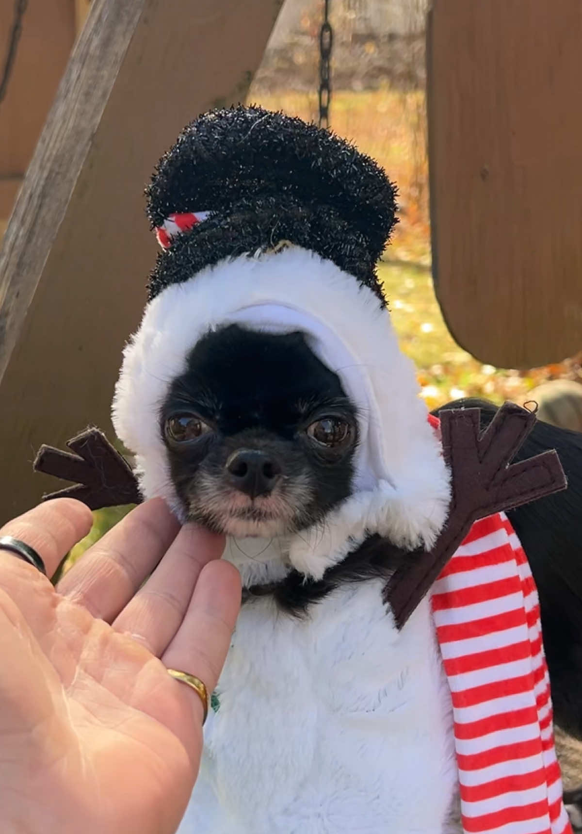 Snowman Sliding Puddin ☃️❤️