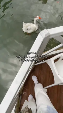 #explore #fypシ #اكسبلورexplore #الهاشتاقات_عشان_اكسبلور #حياة_جديده_بدايه_جديده #سفر 