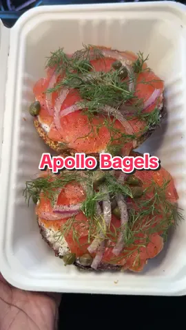 Reviewing The Best New Bagels In NYC Order:  Smoked Salmon Lox Bagel  Tomato Bagel with Cream Cheese White Fish Salad Bagel Butter and Jam Bagel #nycfood #nycbagels #bagel #nyceats #nycfoodie #fyp #eating #mukbang #Foodie #tastetest #breakfast #foodtiktok 