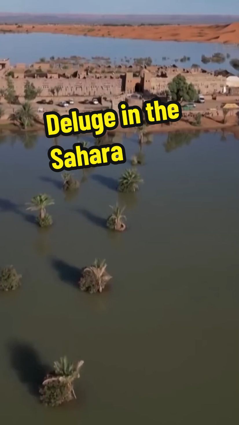 Deluge in the Sahara #history 