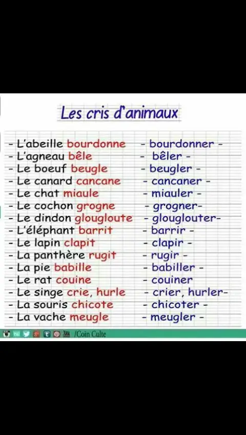 🦋🦋      #apprendrelefrançais #francaisfacile #speakfrench #french #amour #respect #francaise🇨🇵 