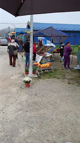 Pijaca trnovi Komunalije Vel.Kladusa 2.11.2024