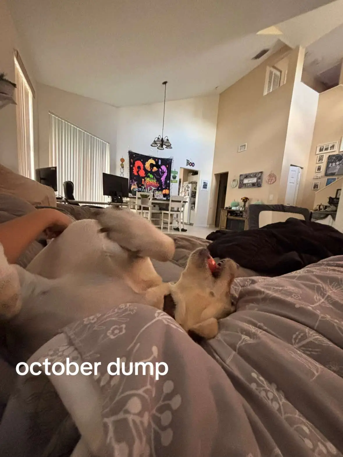 october dump @mikayla🌝 @aubs @katerina @Alyssa.Cheer 