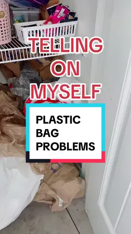 Here’s some realistic organizing for my non-aesthetic tribe 🤝 #spacesaving #organization #organizer #bags 