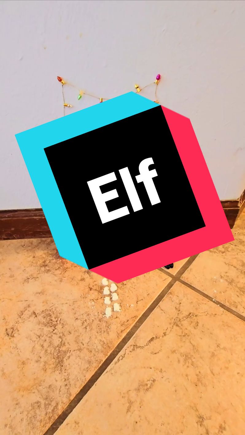 Elf on the #elf #elfitup #elfshelf #christmas #elfs #tiktokblackfriday #tiktokcybermonday #holidayhaul 