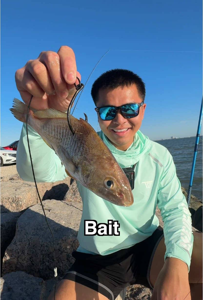 Does BIG Bait Really EQUAL Big FISH ❓#fish #bigbait #redfish #angler #bassfishing #howto #fishing #bigfish 